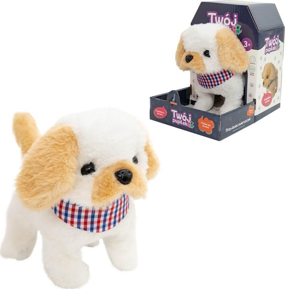 Twój pupilek piesek