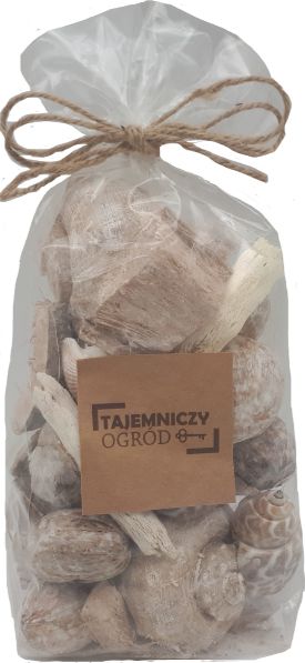 Tajemniczy ogród Muszle morskie w woreczku szare