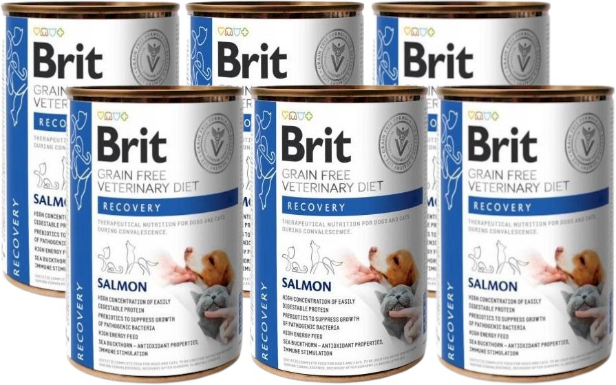 BRIT GF Veterinary Diets Recovery Salmon 6x400g - karma mokra dla psa i kota