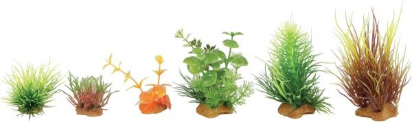 Zolux Dekoracje roślinne mix 6szt. zestaw 3 (352132)