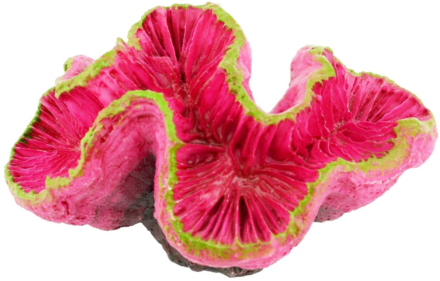 Aqua Natura Dekoracja akwarystyczna ukwiał fuksjowy 9cm