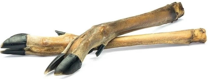 ARAMI C RACICA SARNY 1szt.