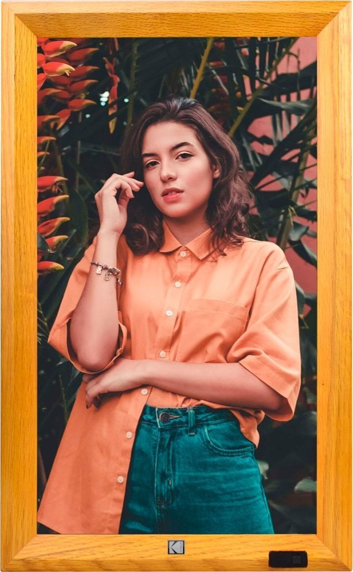 Kodak Kodak WF173V WiFi wooden brown