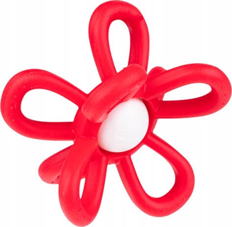 Grzechotka kwiatek czerwony