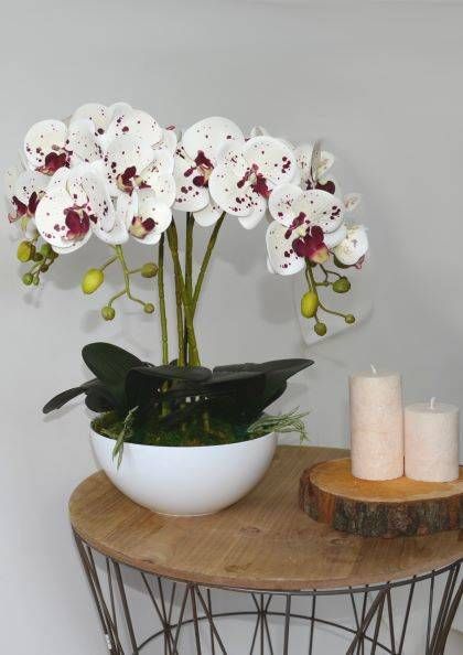 Tajemniczy ogród Storczyk sztuczny w doniczce 5-pędowy