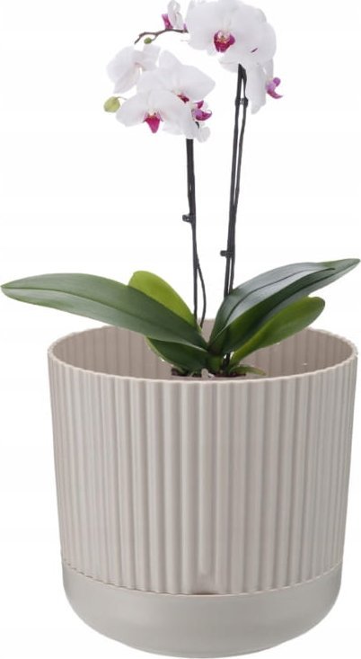 Galicja Doniczka dekoracyjna plastikowa z podstawką beżowa Nostalgia 15x16 cm