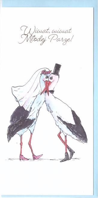 HENRY Karnet B6 Ślub - Bociany DL