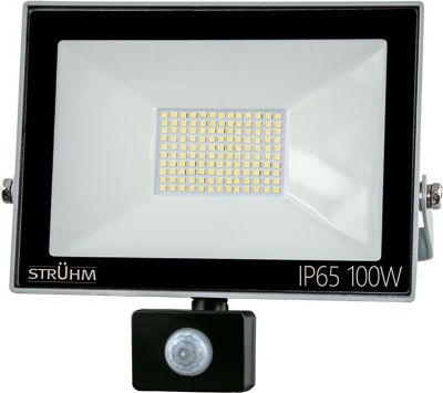 Naświetlacz IDEUS Naświetlacz LED z czujnikiem ruchu KROMA LED S 100W GREY 4500K IP65 IDEUS 6089