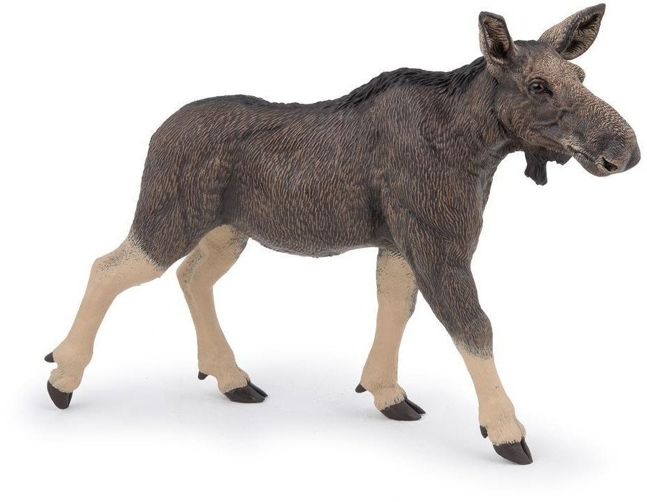 Klępa - samica łosia