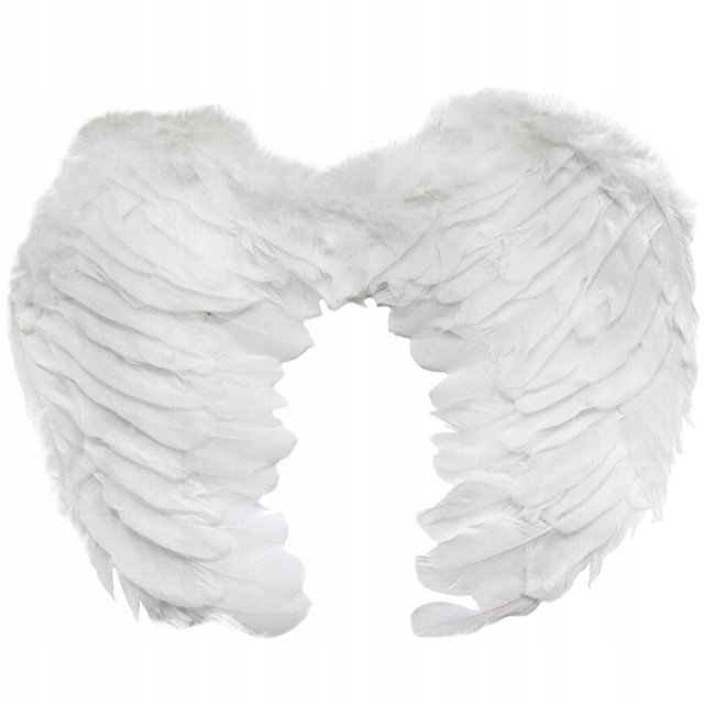 skrzydła Anioła białe 42x34cm | SK5619