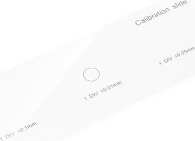 Mikroskop Levenhuk Preparat kalibracyjny Levenhuk 3