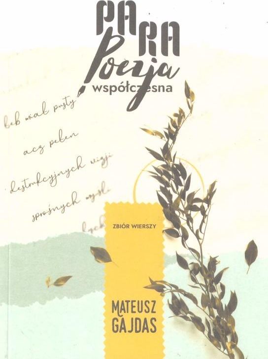 Parapoezja współczesna