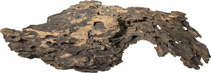 Terra Natura Korzeń Smocze drewno S 10-15cm