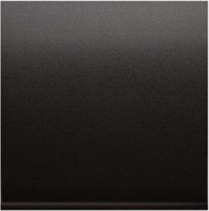 Kontakt-Simon Zaślepka ramki antracyt (DP/48)