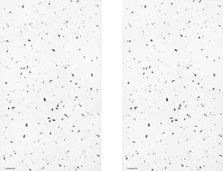 Typhoon Zestaw 2 podstawek pod naczynia Elements Quartz / Typhoon