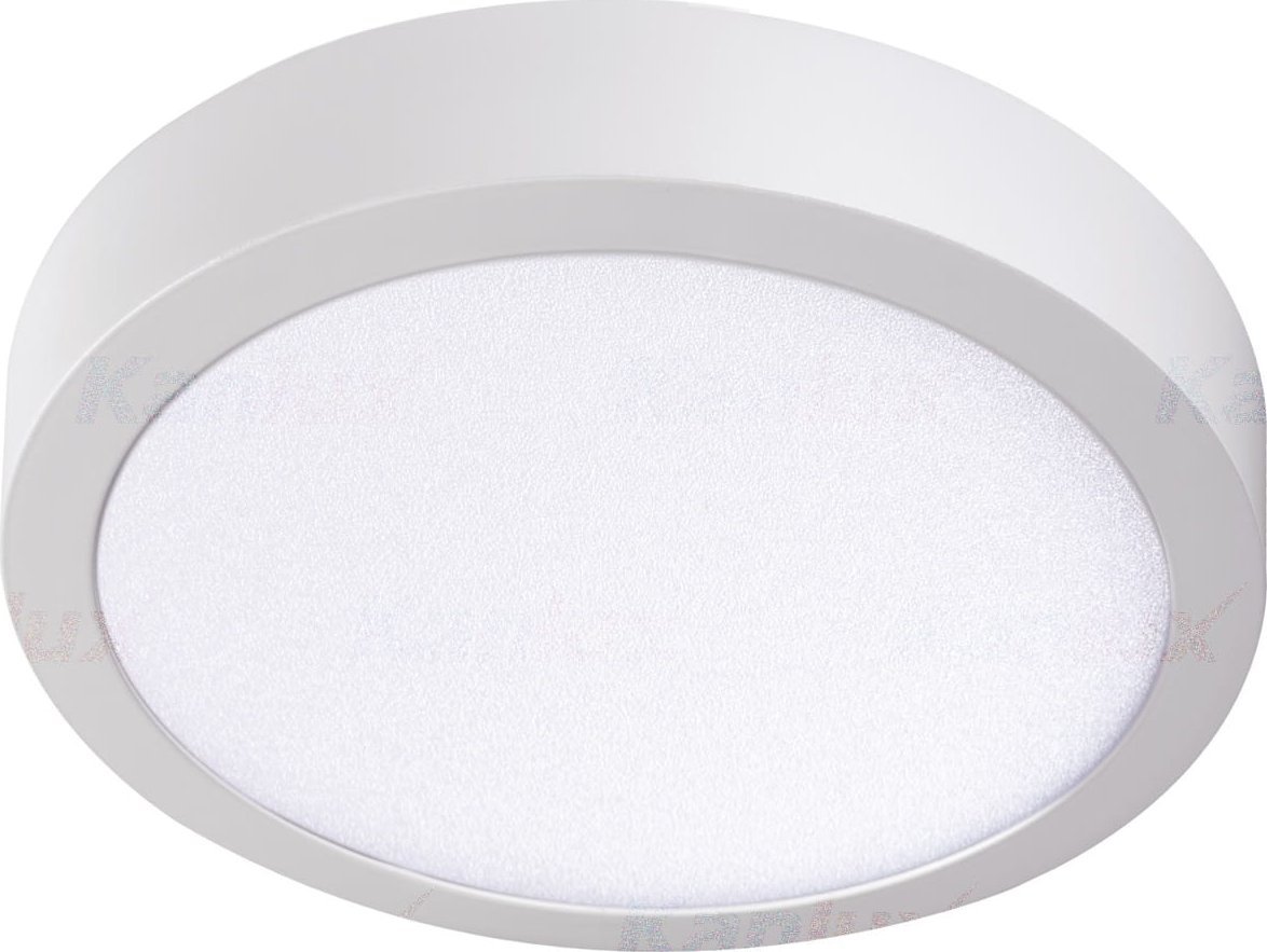 Kanlux Oprawa oświetleniowa LED CARSA V2LED 24W-NW-W