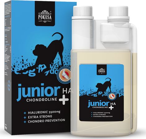POKUSA ChondroLine Junior + HA 500ml