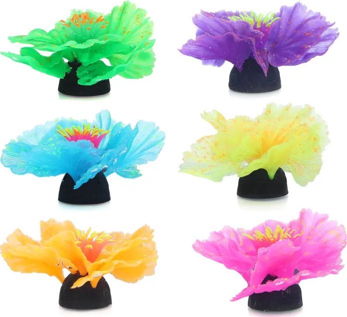 Nobleza Odblaskowe rośliny wodne Odblaskowe rośliny wodne