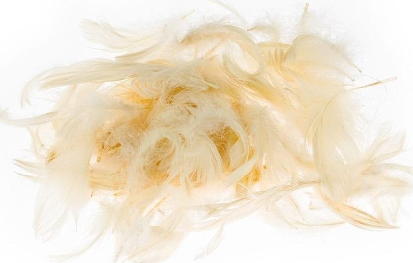 BREWIS PiĂłrka 7g /P7-2/ ecrue