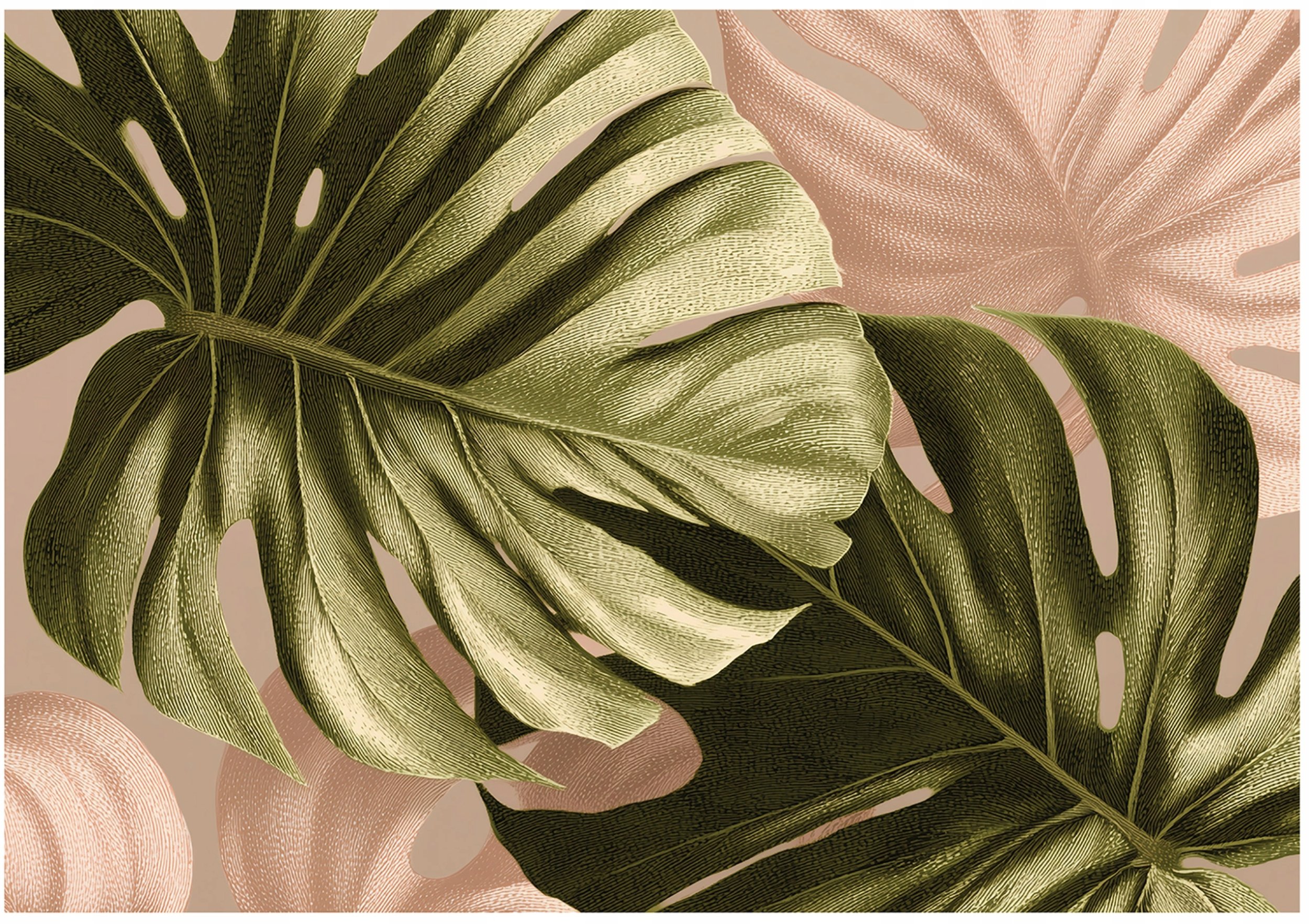 Fototapeta Na Flizelinie Liście Monstera Do Sypialni Salonu 400x280