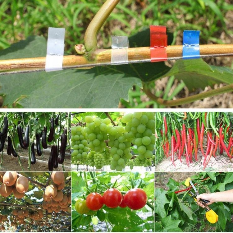 ZSZYWACZ OGRODNICZY TAPENER NARZĘDZIE DO ROŚLIN