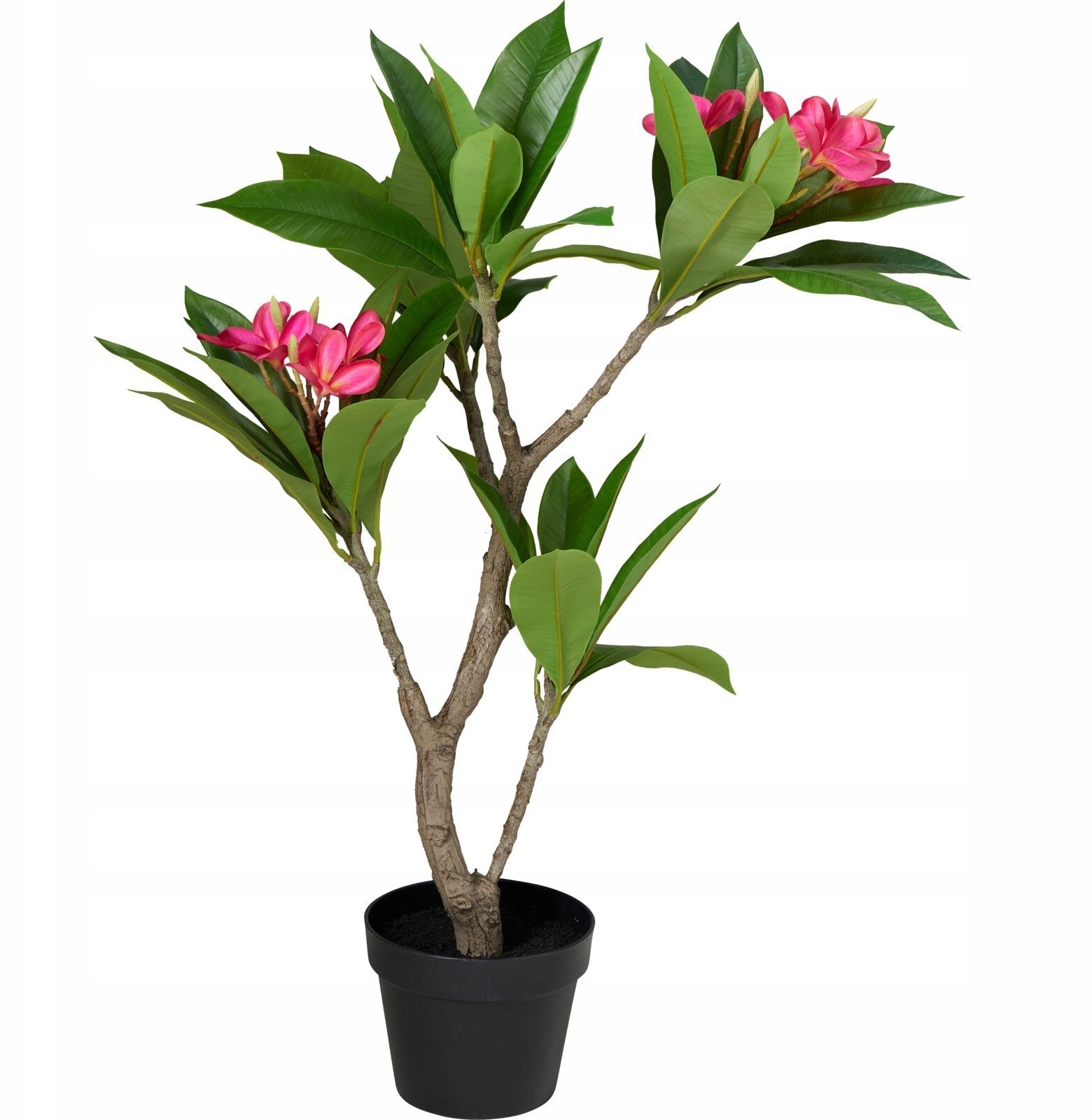 Sztuczne drzewko w doniczce Frangipani, 50 x 90 cm