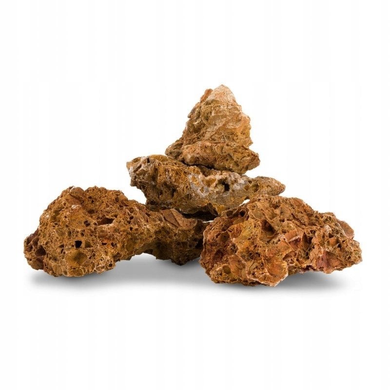 Skała klonowa dekoracyjna do akwarium / terrarium 10-40 cm