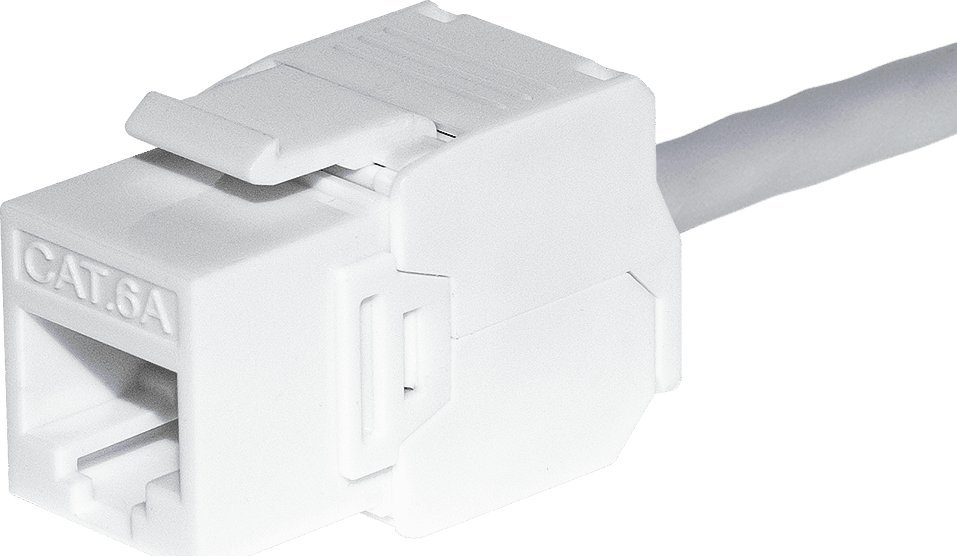 NetRack Moduł keystone Jack RJ45 kat. 6A UTP, beznarzędziowy, biały Netrack