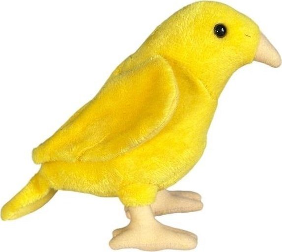 Kanarek żółty 16cm