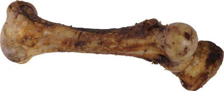 Artex ARTEX KOŚĆ NATURALNA ŚREDNIA 30cm waga ok 1.20kg szt