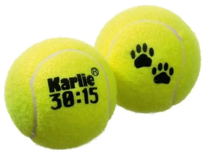 DOG TOY TENNISBALL YEL 6 2X