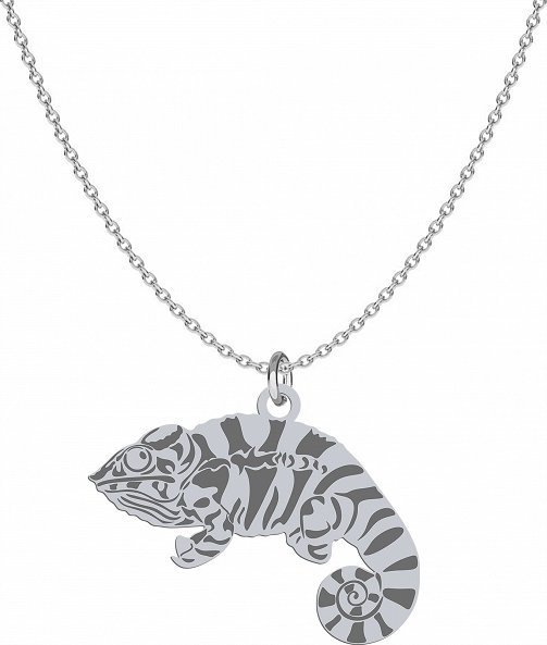 Radziszewska Jewellery Naszyjnik Srebrny Kameleon Łańcuszek 925 Prezent Biżuteria GRAWER GRATIS