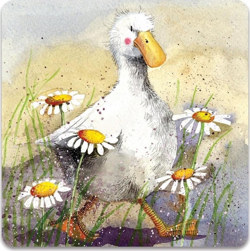 Teka Magnes FM169 Kaczka