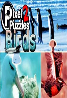 Pixel Puzzles 2: Birds PC, wersja cyfrowa