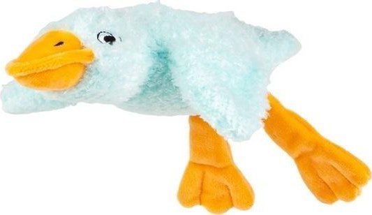 Sensoryczna Gęś błękitna