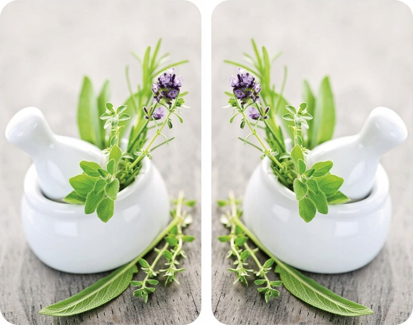 Wenko Szklane płyty ochronne HERB GARDEN na kuchenkę – 2 sztuki, WENKO