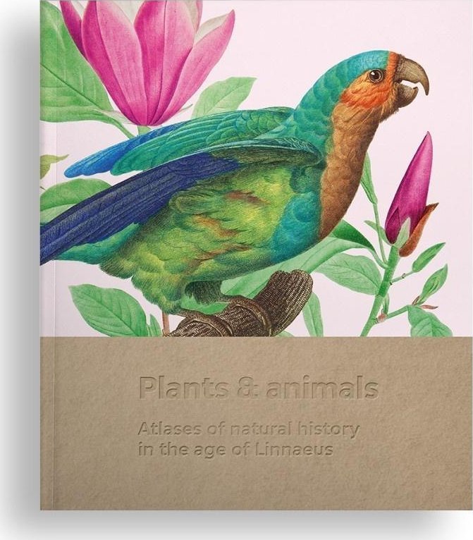 Międzynarodowe Centrum Kultury Plants and animals