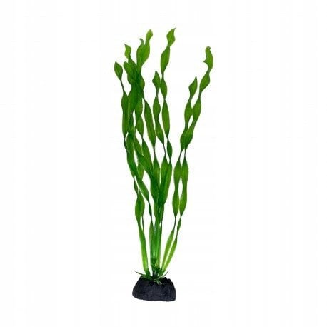 Aqua Natura, ro�lina, do dekoracji akwarium, zielona, plastikowa, 28 cm , spirulina, wysoka