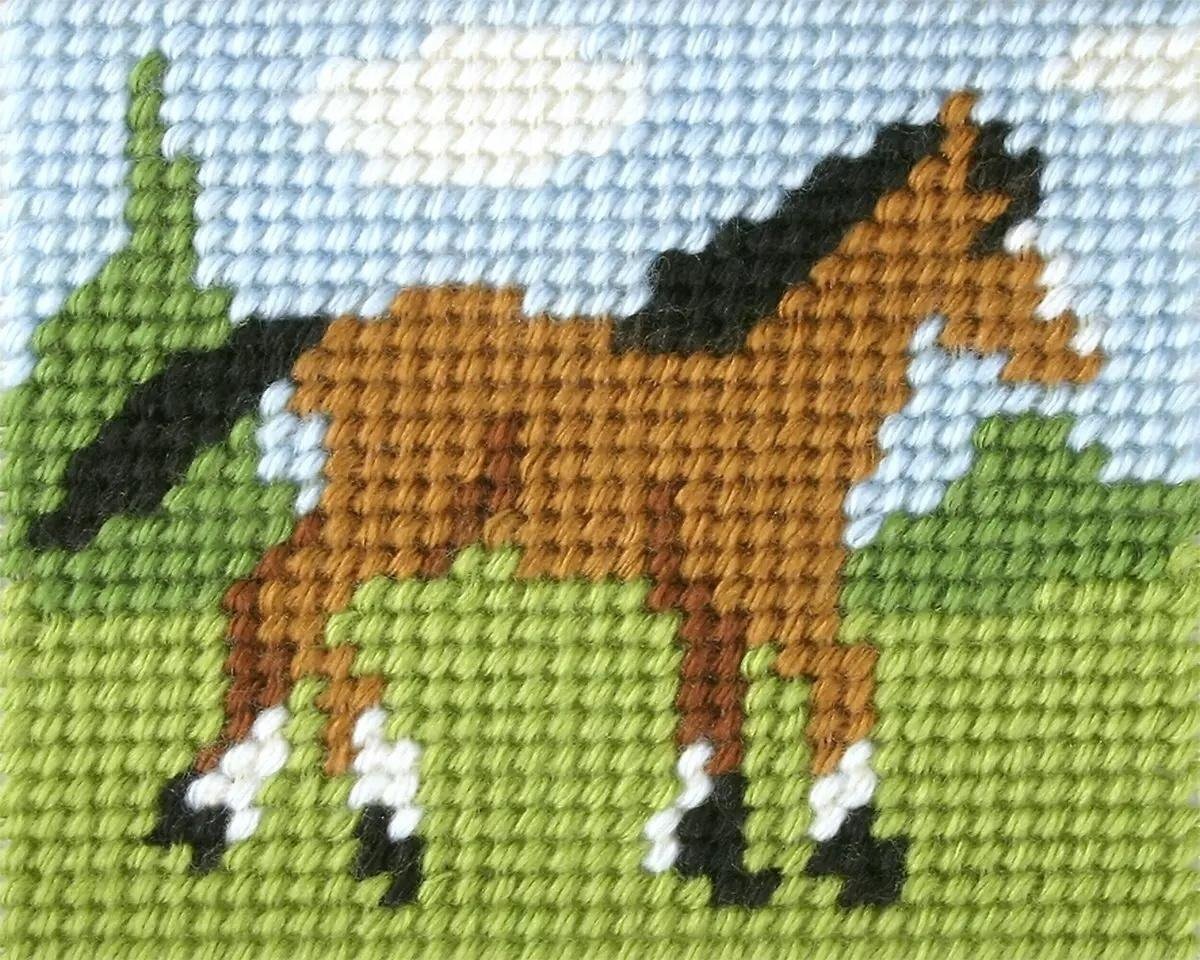 Haft. Moje pierwsze wyszywanie - Konik EDUKAMP