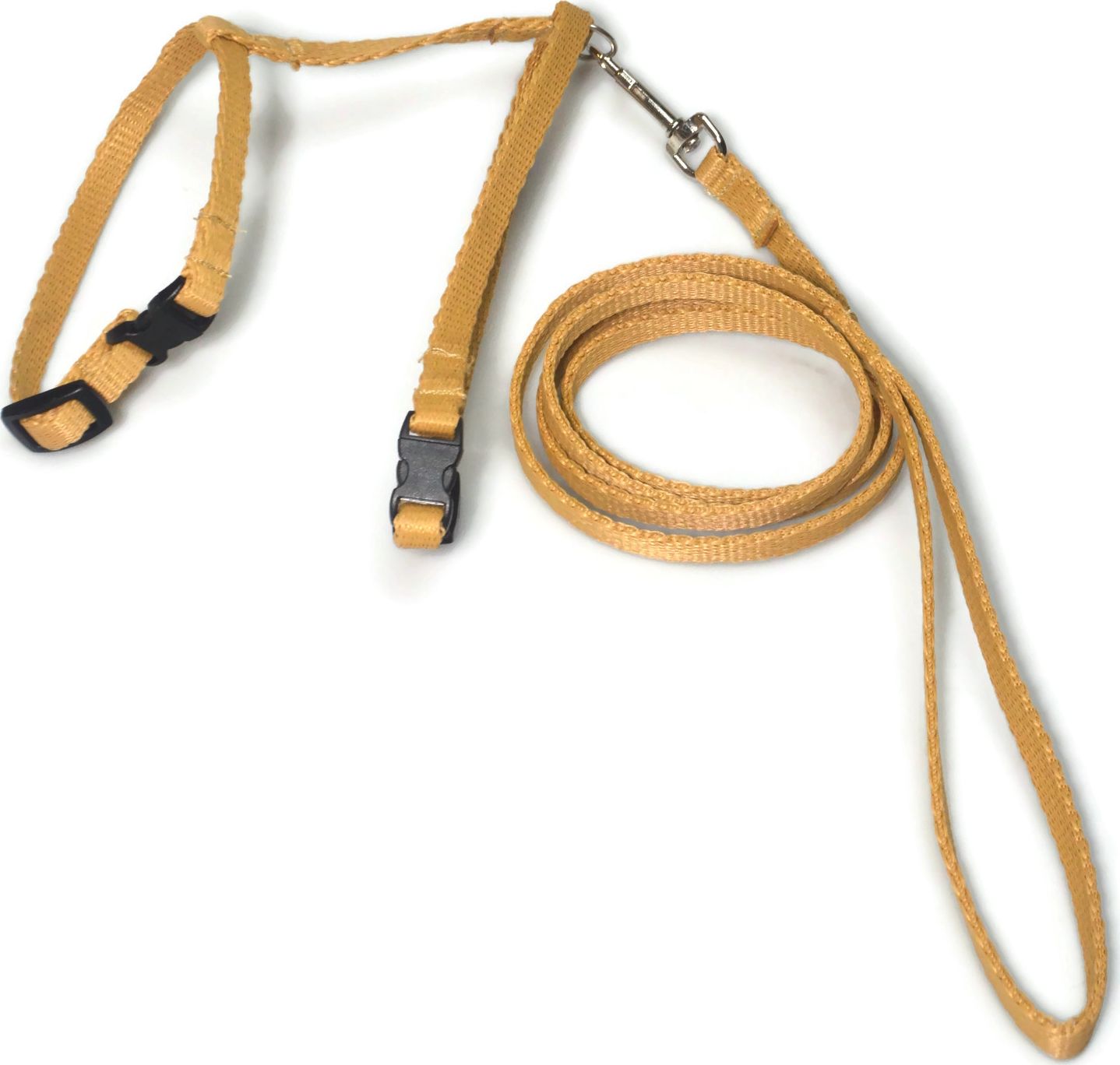 Alizoo Komplet dla kota, smycz plus szelki - ALIZOO