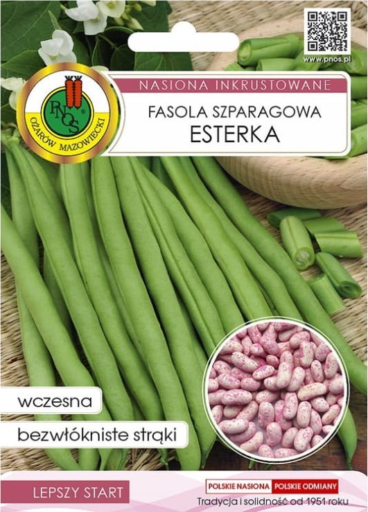 Fasola szparagowa zielona Esterka 30g Odmiana wczesna karłowa