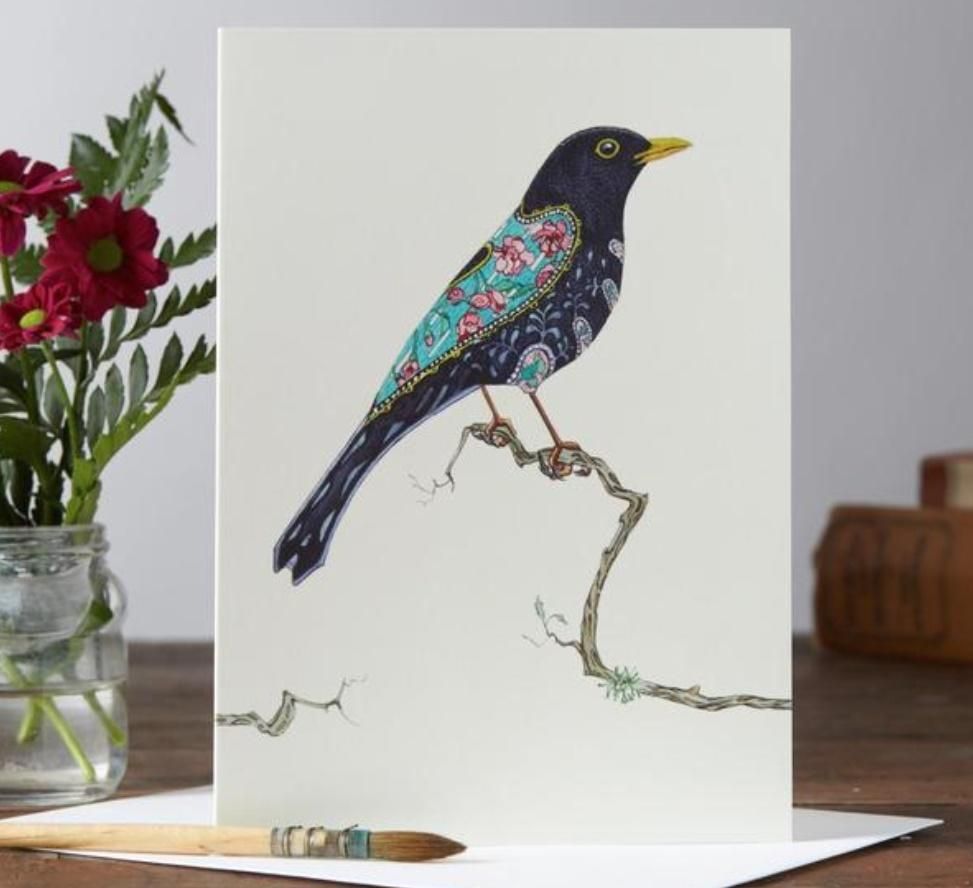 DM Collection Karnet A046 B6 + koperta Ptak kos