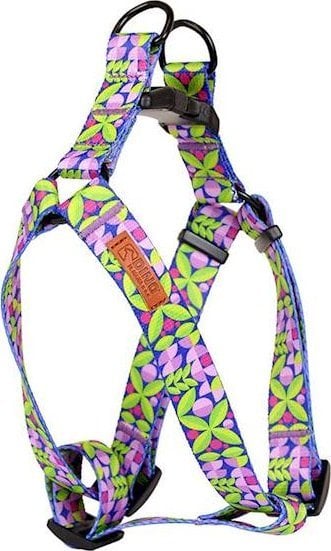 Dino DINO SZELKI TAŚMA REG. IVO 20mm LIŚĆ dł. 40-60cm