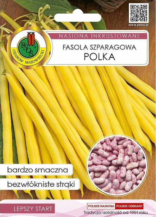 Fasola szparagowa Polka 30g żółta Odmiana karłowa średnio wczesna