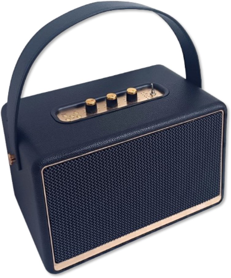 Przenośny głośnik RETRO 30W +10W - Radio FM, BT