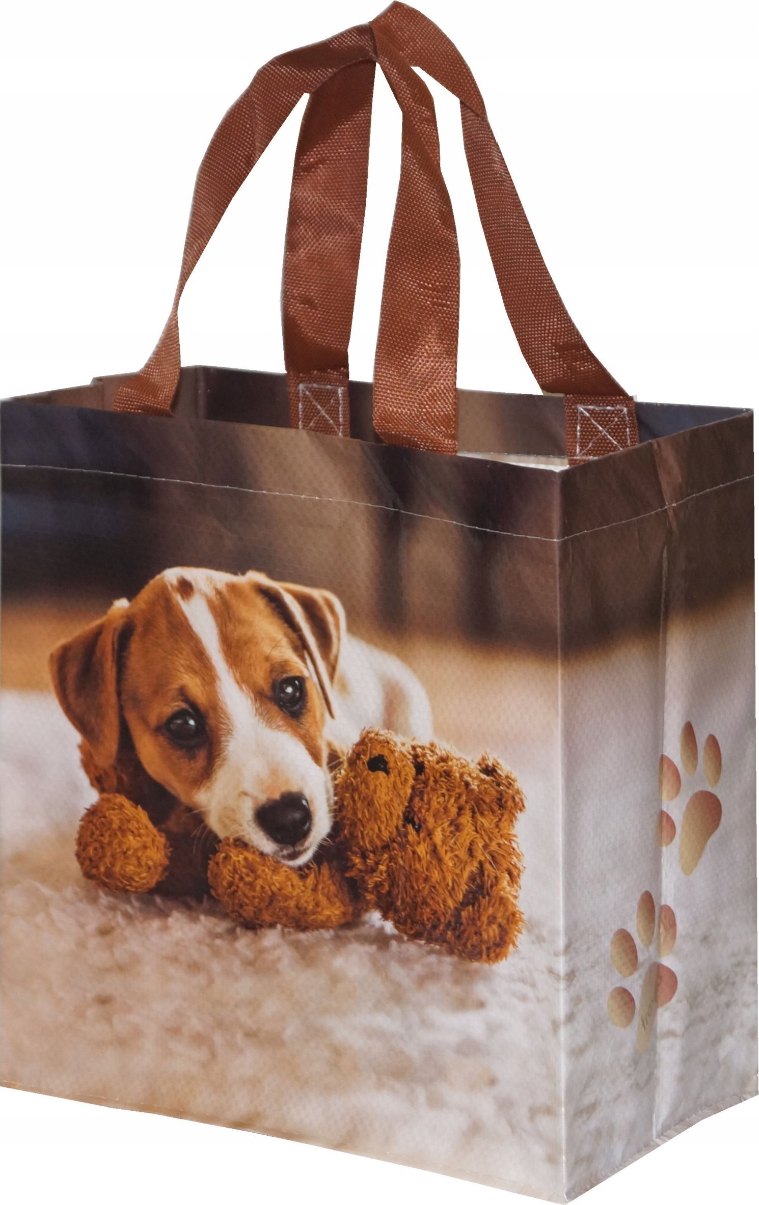 Fraspo Torba Mini Piesek 10L