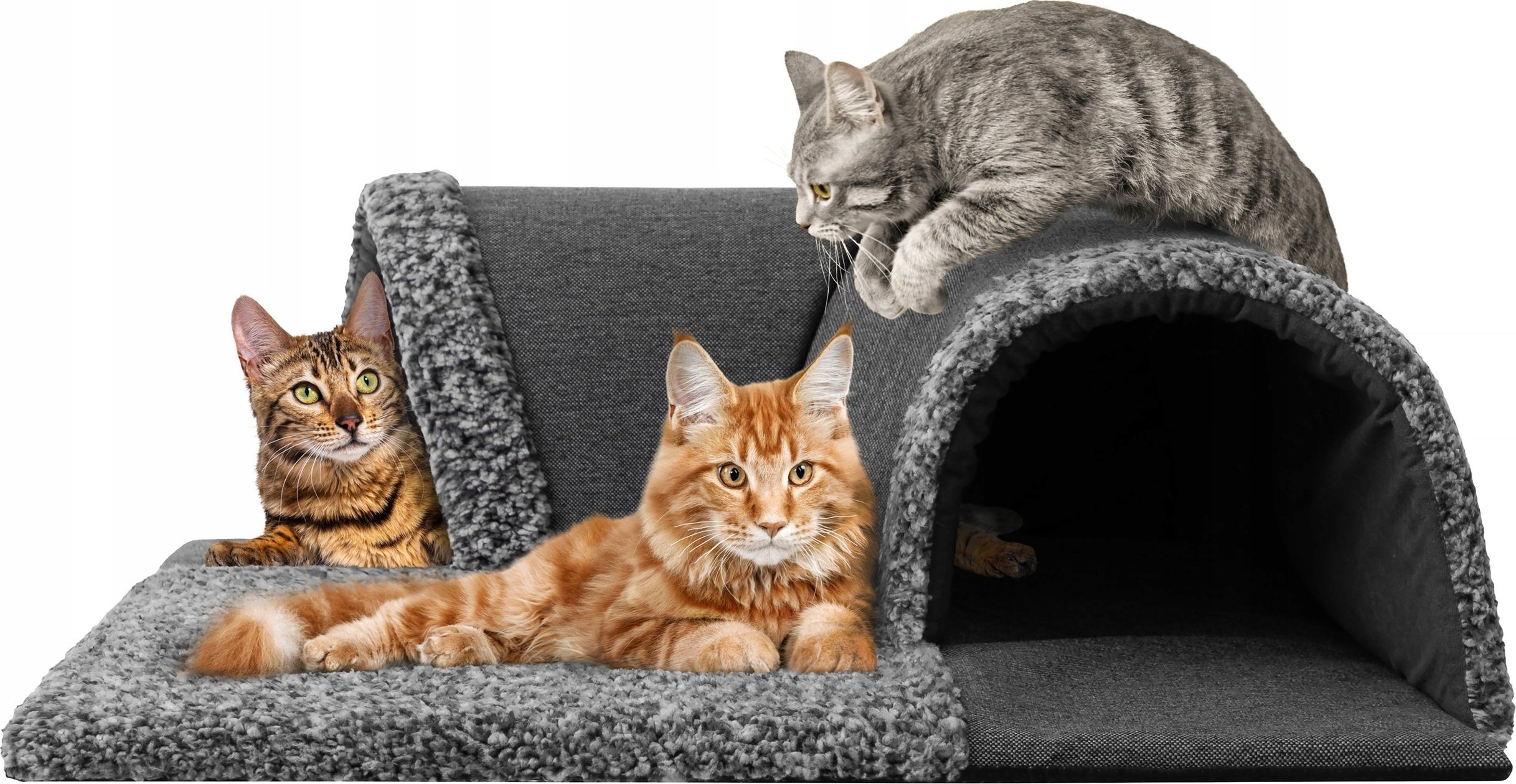 Hobbydog TUNEL GALERIA CZARNY