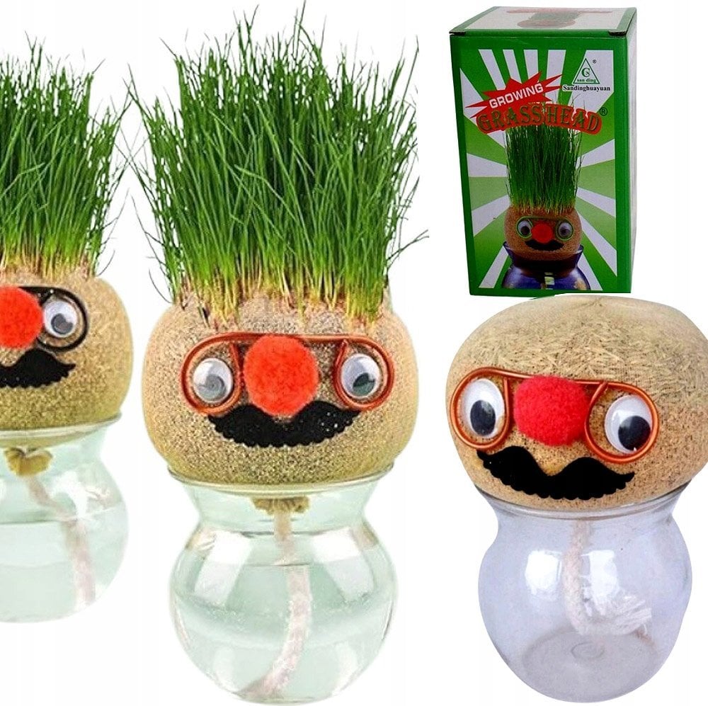 Norimpex *****Pan Trawek ,rosnące włosy 1009679