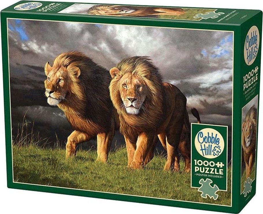 Puzzle 1000 Zbliża się burza G3