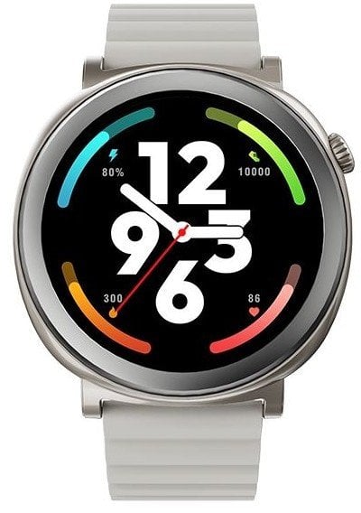 HiFuture smartwatch FutureGo Mix2gray/solace gray (HSF12SG) ENG